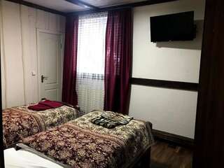 Мотели Fayniy Motel Татаров Стандартный двухместный номер с 2 отдельными кроватями-20